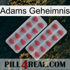Adams Secret 19